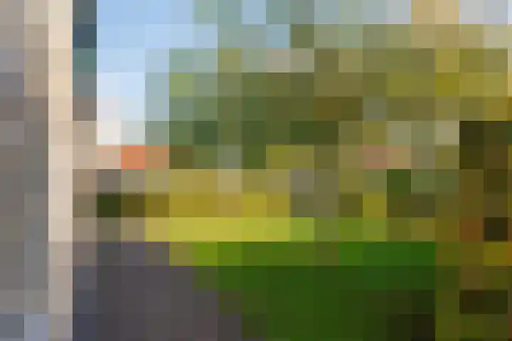 't Skottepâd 9 Ballum thumbnail 58