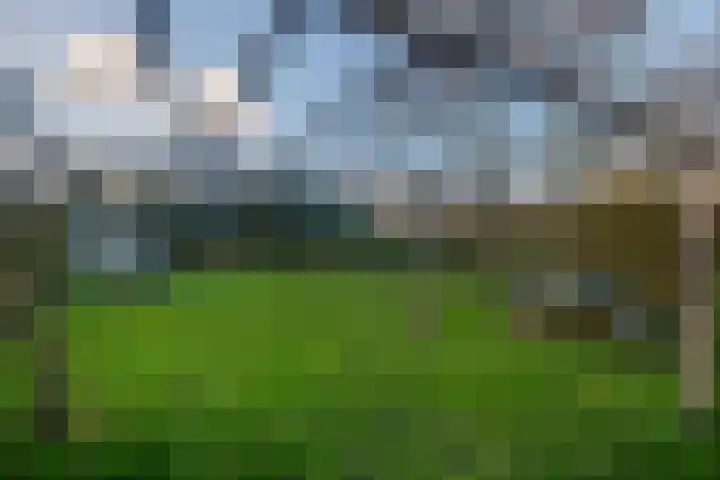 't Skottepâd 9 Ballum thumbnail 59
