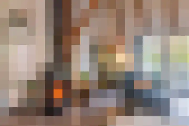 't Skottepâd 9 Ballum thumbnail 9
