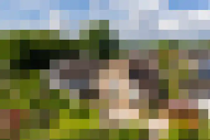 't Slaa 100 Aalten thumbnail 18