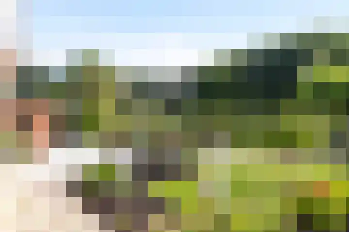 't Slaa 100 Aalten thumbnail 19