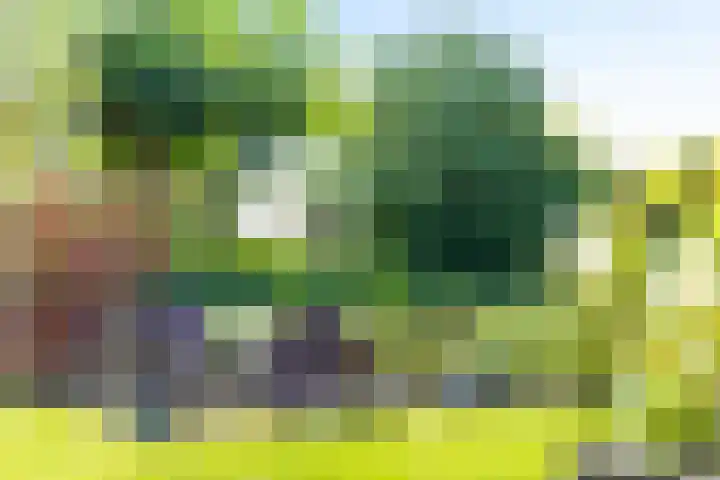 't Slaa 100 Aalten thumbnail 20