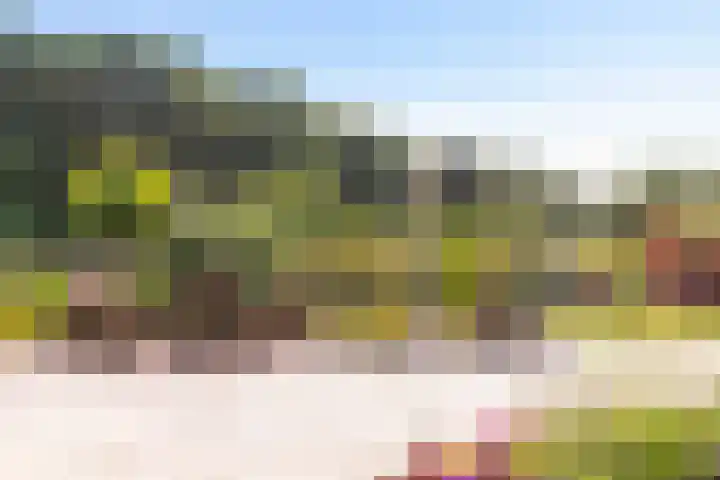 't Slaa 100 Aalten thumbnail 21