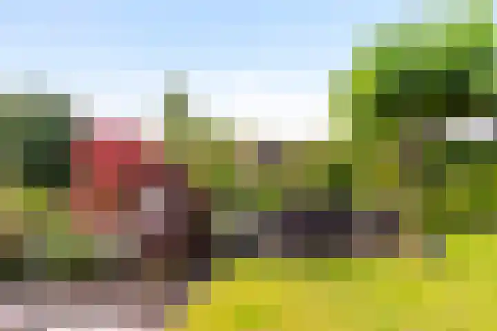 't Slaa 100 Aalten thumbnail 22