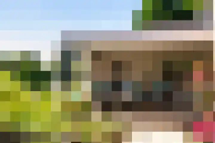 't Slaa 100 Aalten thumbnail 26