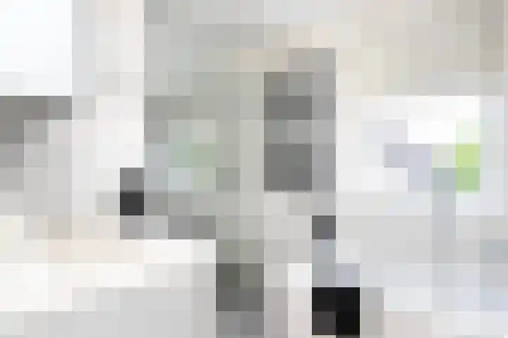 't Slaa 100 Aalten thumbnail 36