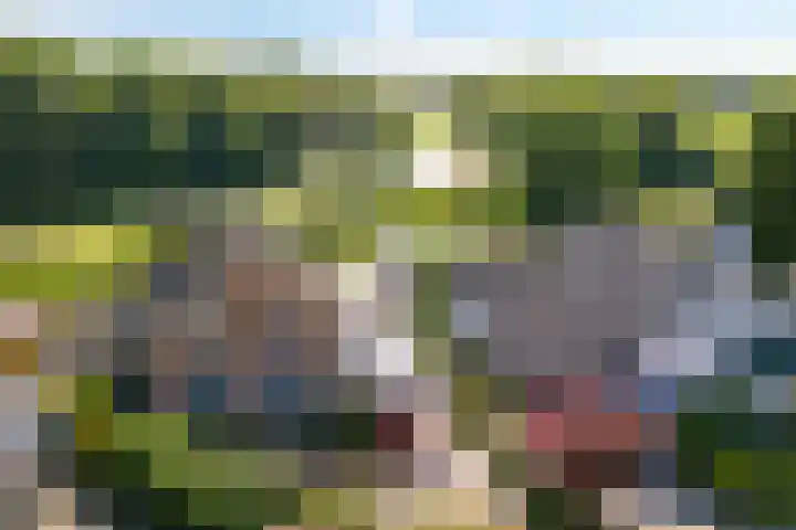 't Slaa 100 Aalten thumbnail 37