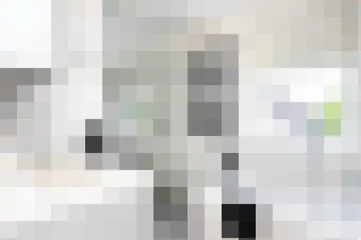 't Slaa 100 Aalten thumbnail 4