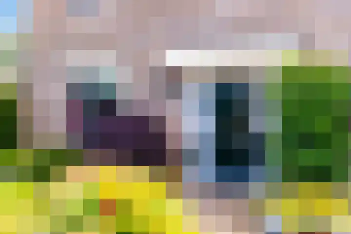 't Slaa 100 Aalten thumbnail 6