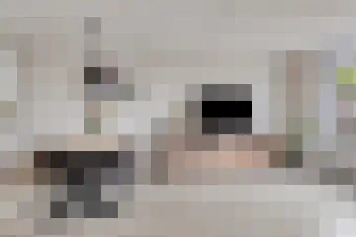 't Slaa 105 Aalten thumbnail 11