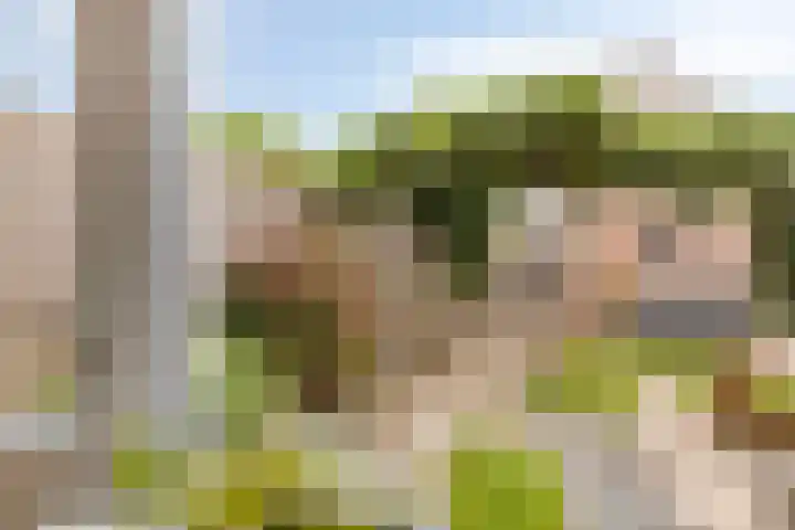 't Slaa 105 Aalten thumbnail 12