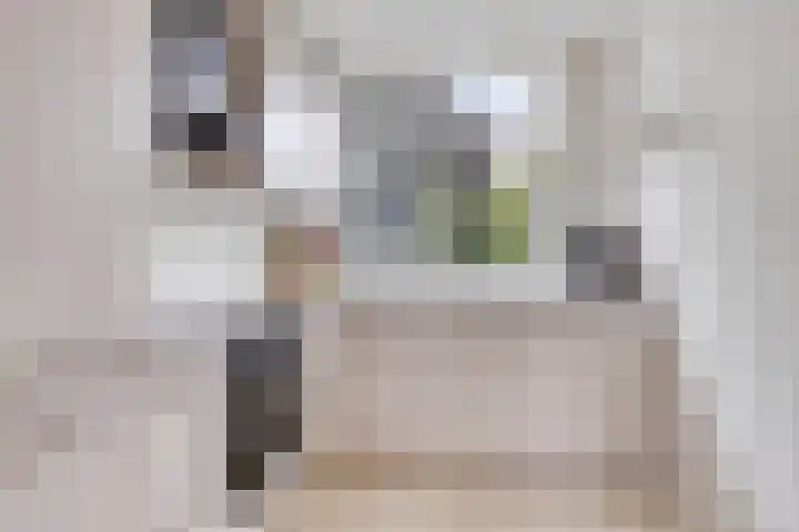 't Slaa 105 Aalten thumbnail 16