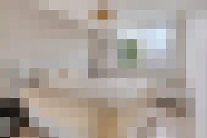 't Slaa 105 Aalten thumbnail 21