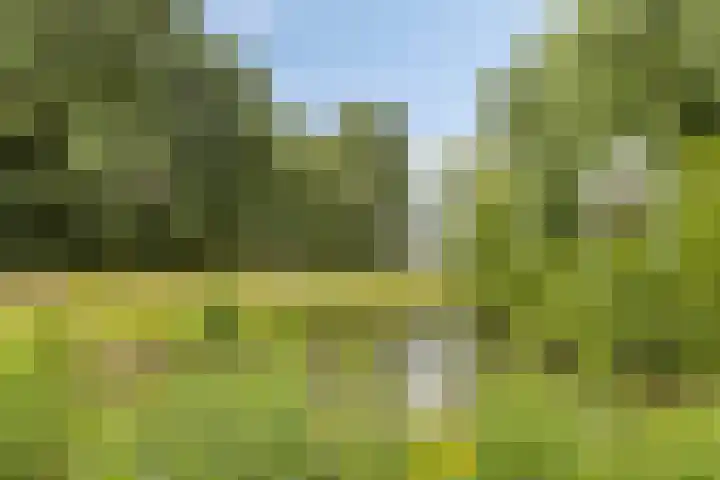 't Slaa 105 Aalten thumbnail 35