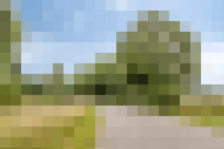 't Slaa 105 Aalten thumbnail 36