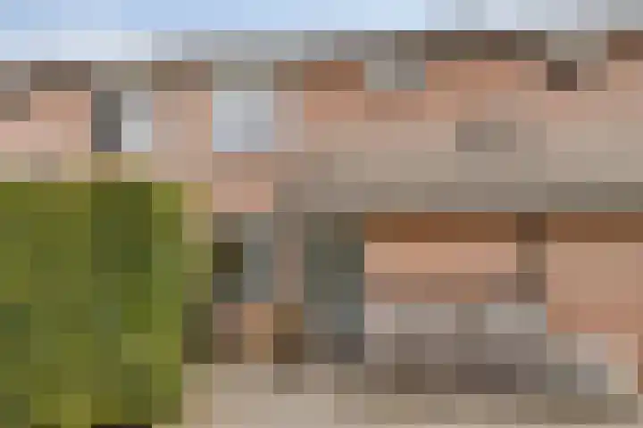 't Slaa 105 Aalten thumbnail 4