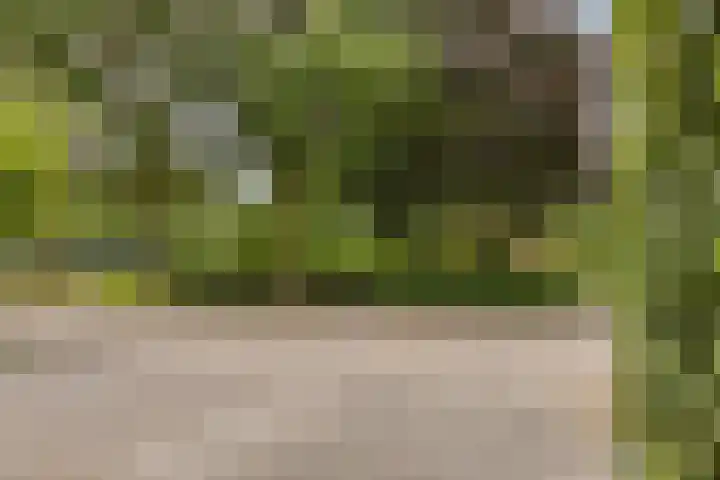 't Slaa 105 Aalten thumbnail 6