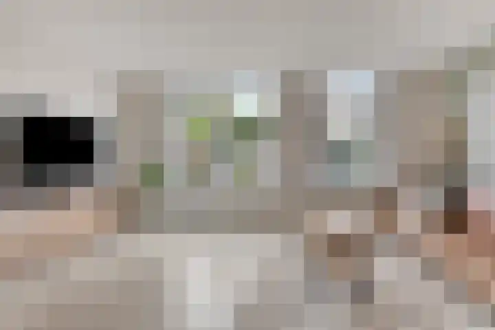 't Slaa 105 Aalten thumbnail 9