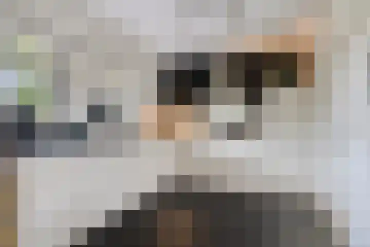 't Slaa 133 Aalten thumbnail 11