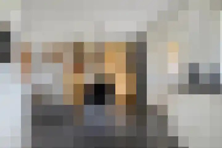 't Slaa 133 Aalten thumbnail 12