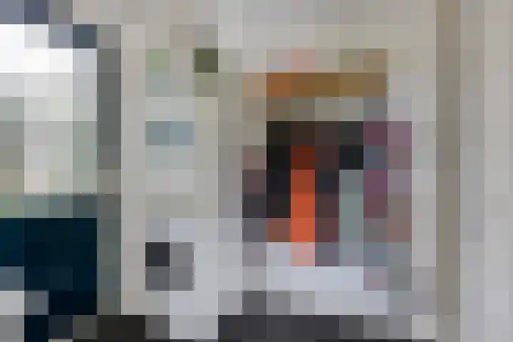 't Slaa 133 Aalten thumbnail 17