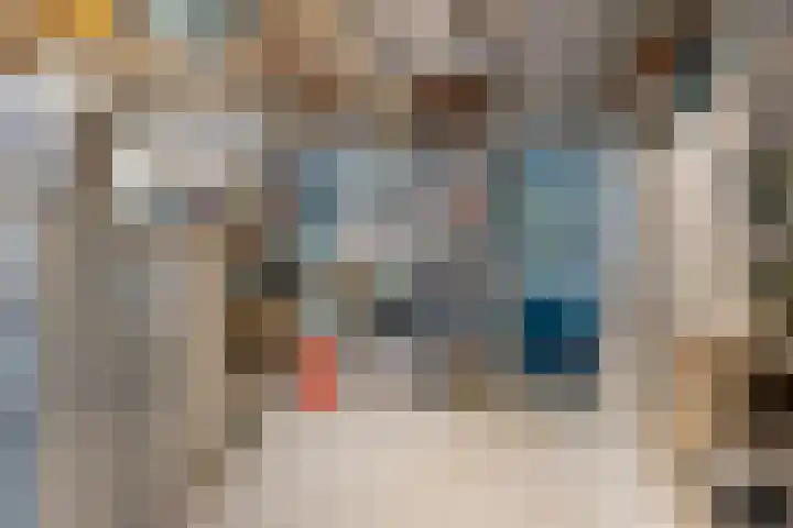 't Slaa 133 Aalten thumbnail 20