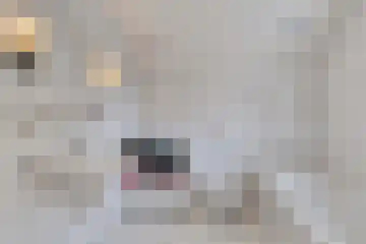 't Slaa 133 Aalten thumbnail 31