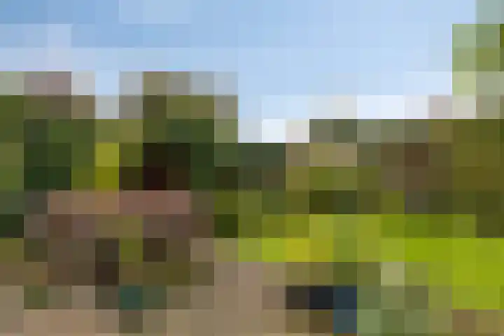 't Slaa 133 Aalten thumbnail 8