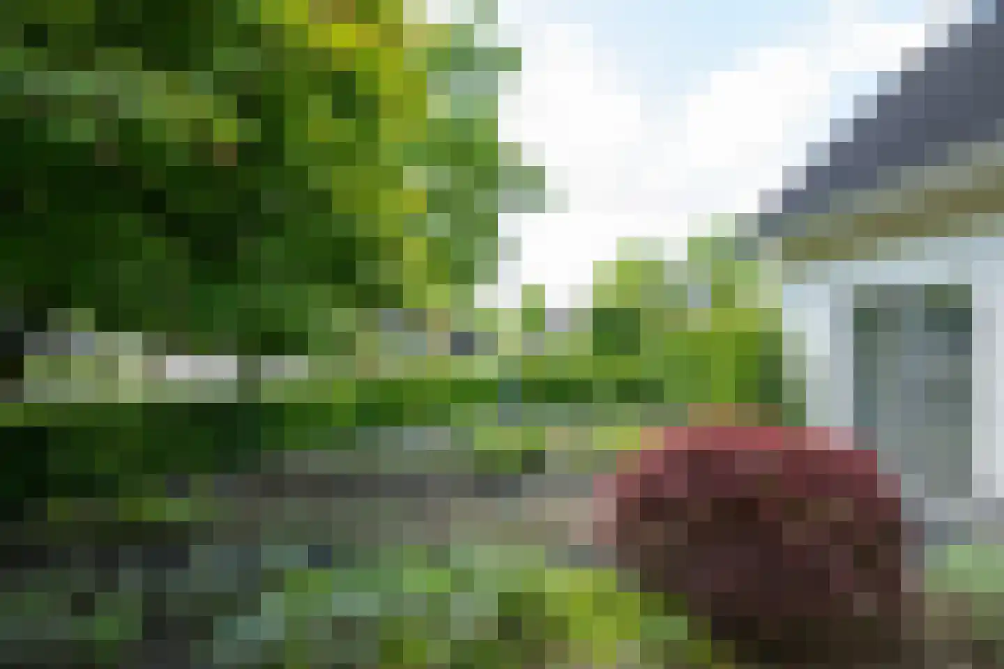 't Slaa 2 Aalten thumbnail 11