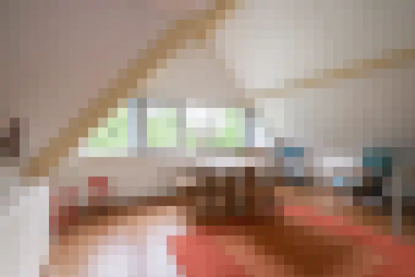't Slaa 2 Aalten thumbnail 34