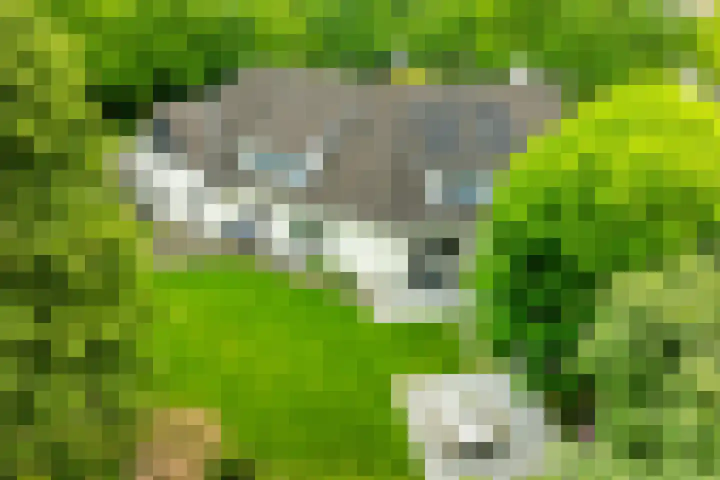 't Slaa 2 Aalten thumbnail 4