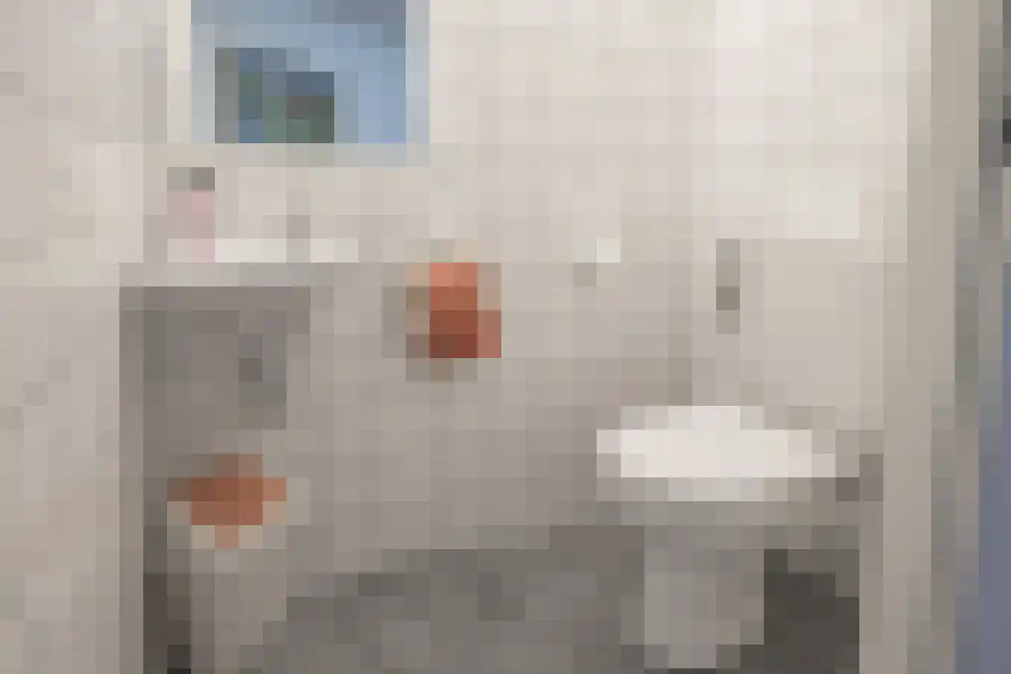 't Slaa 2 Aalten thumbnail 40