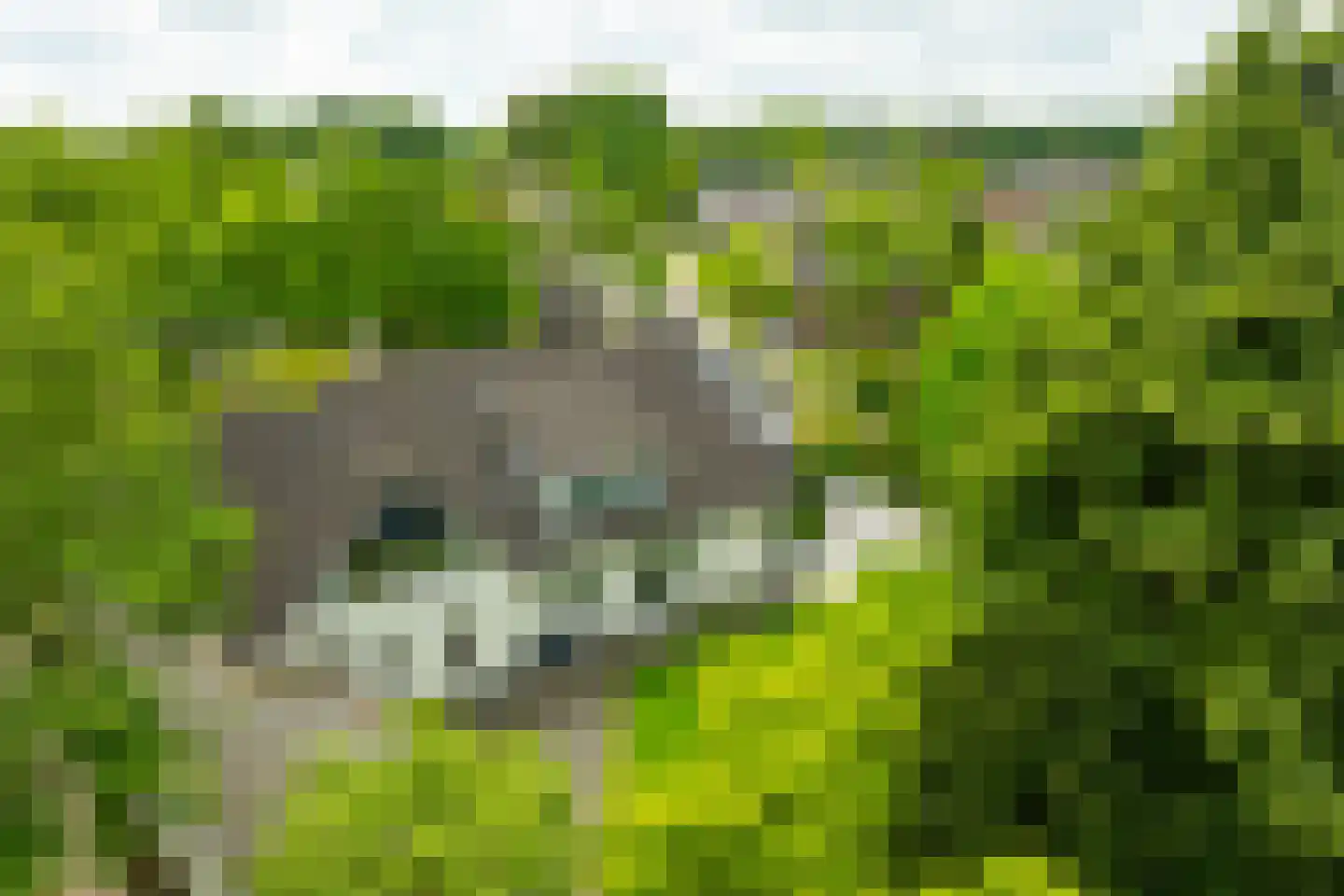 't Slaa 2 Aalten thumbnail 5