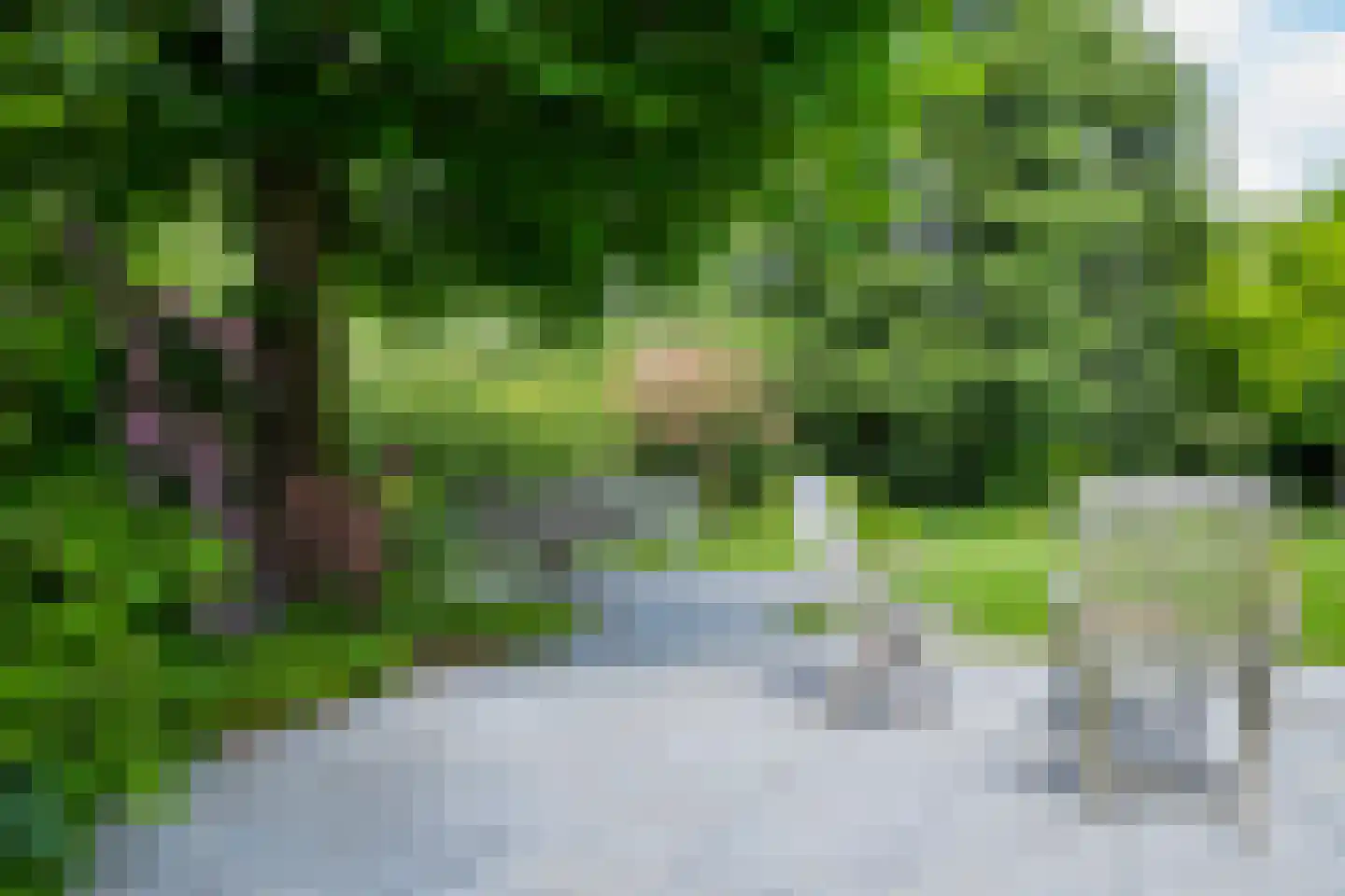 't Slaa 2 Aalten thumbnail 55