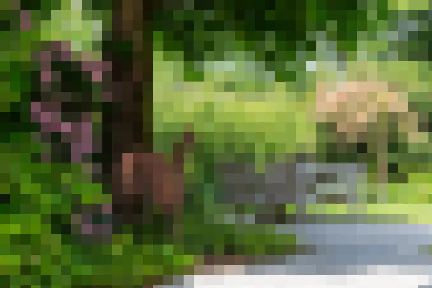 't Slaa 2 Aalten thumbnail 57