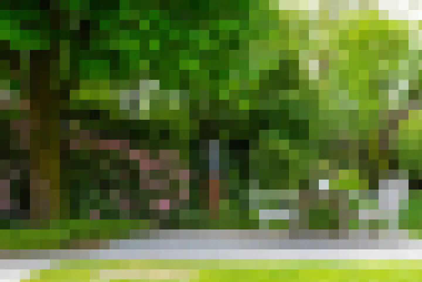't Slaa 2 Aalten thumbnail 58
