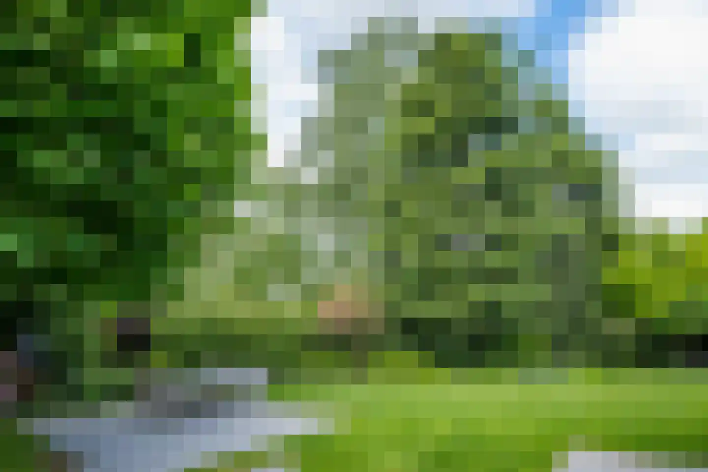 't Slaa 2 Aalten thumbnail 59