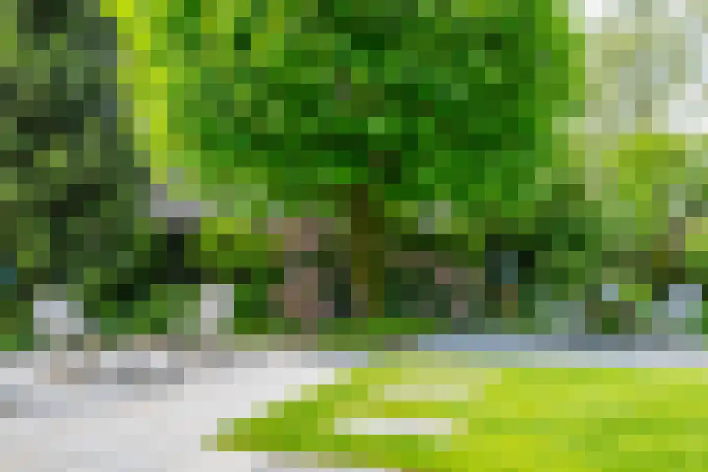 't Slaa 2 Aalten thumbnail 60