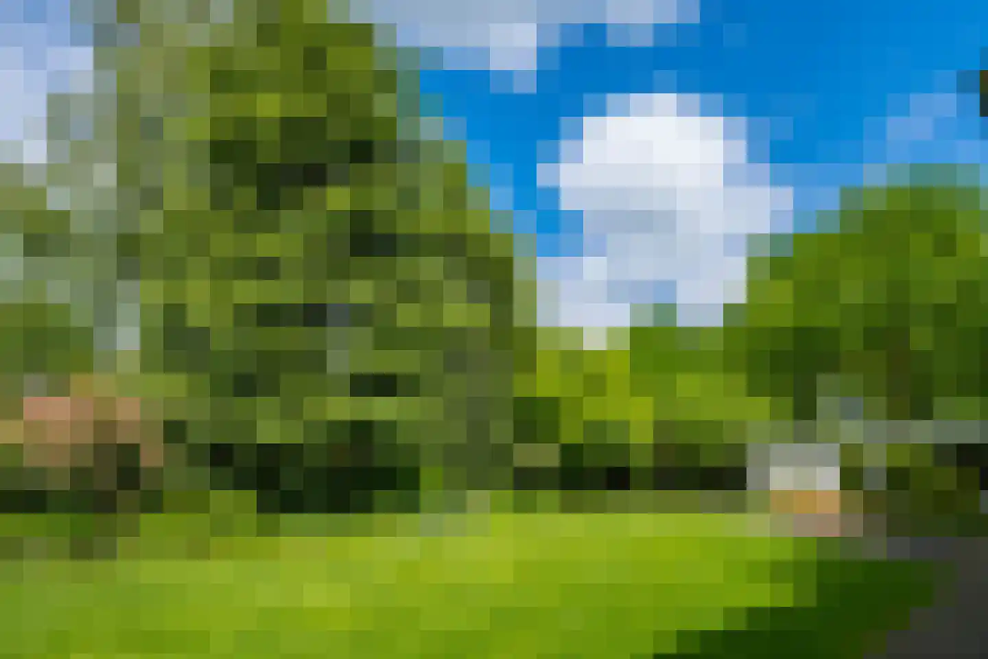 't Slaa 2 Aalten thumbnail 61