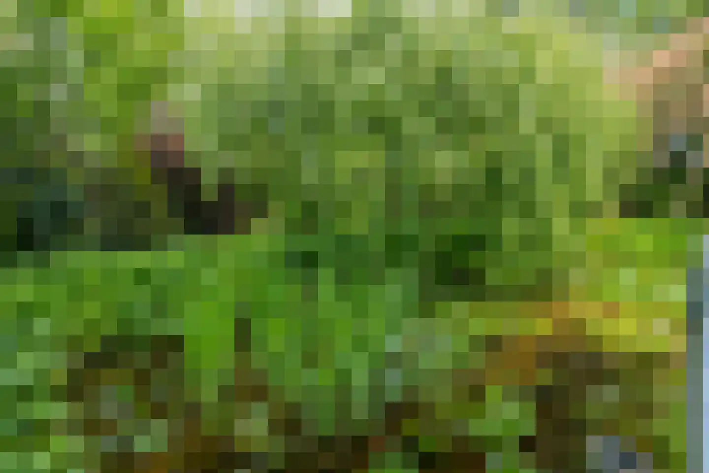 't Slaa 2 Aalten thumbnail 63