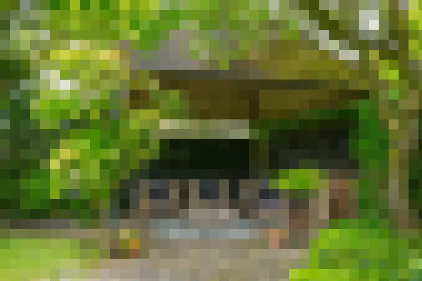't Slaa 2 Aalten thumbnail 66