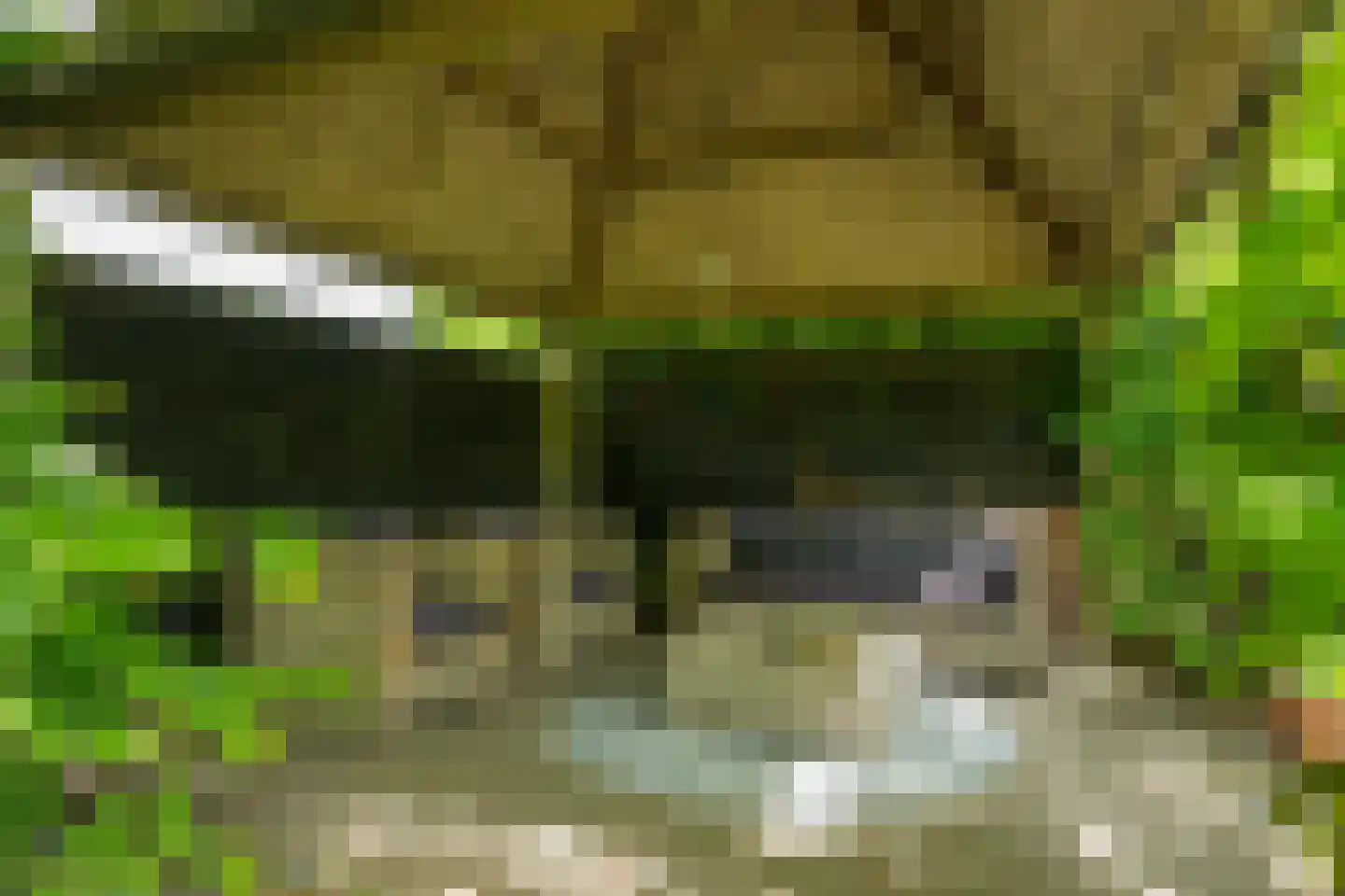 't Slaa 2 Aalten thumbnail 67