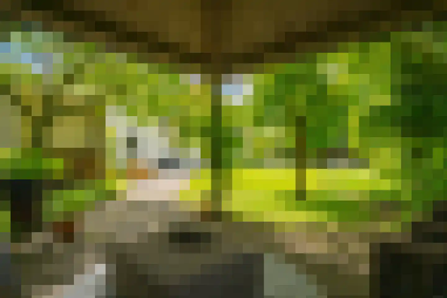 't Slaa 2 Aalten thumbnail 68