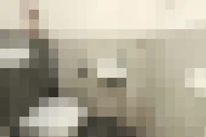 't Slaa 60 Aalten thumbnail 23