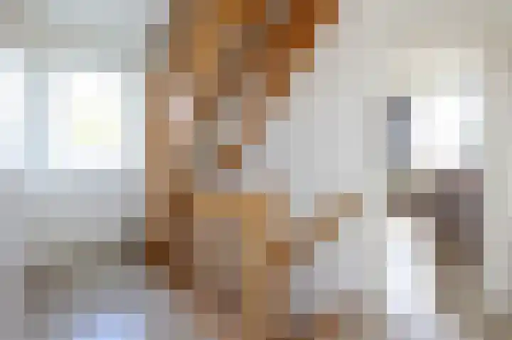 't Slaa 60 Aalten thumbnail 24