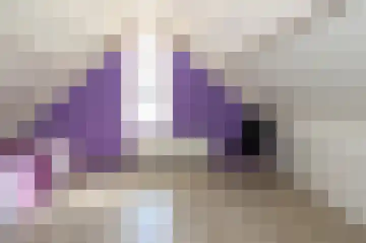 't Slaa 60 Aalten thumbnail 37