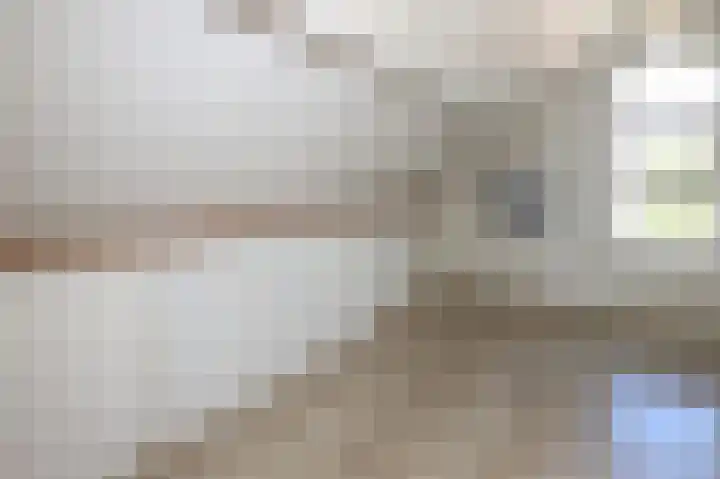 't Slaa 60 Aalten thumbnail 38