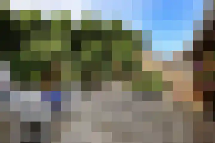 't Slaa 60 Aalten thumbnail 41