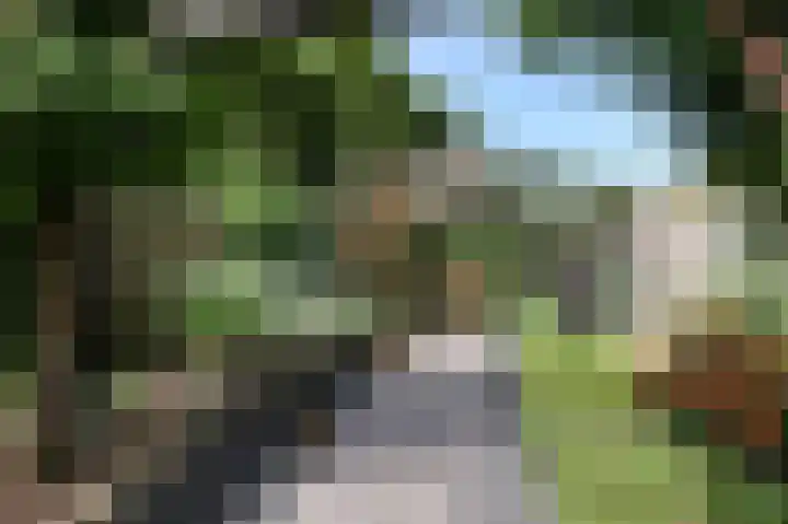 't Slaa 60 Aalten thumbnail 46
