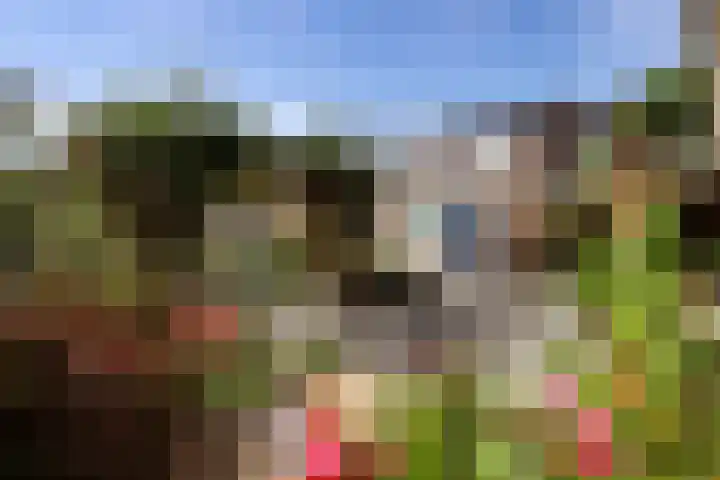't Slaa 60 Aalten thumbnail 48